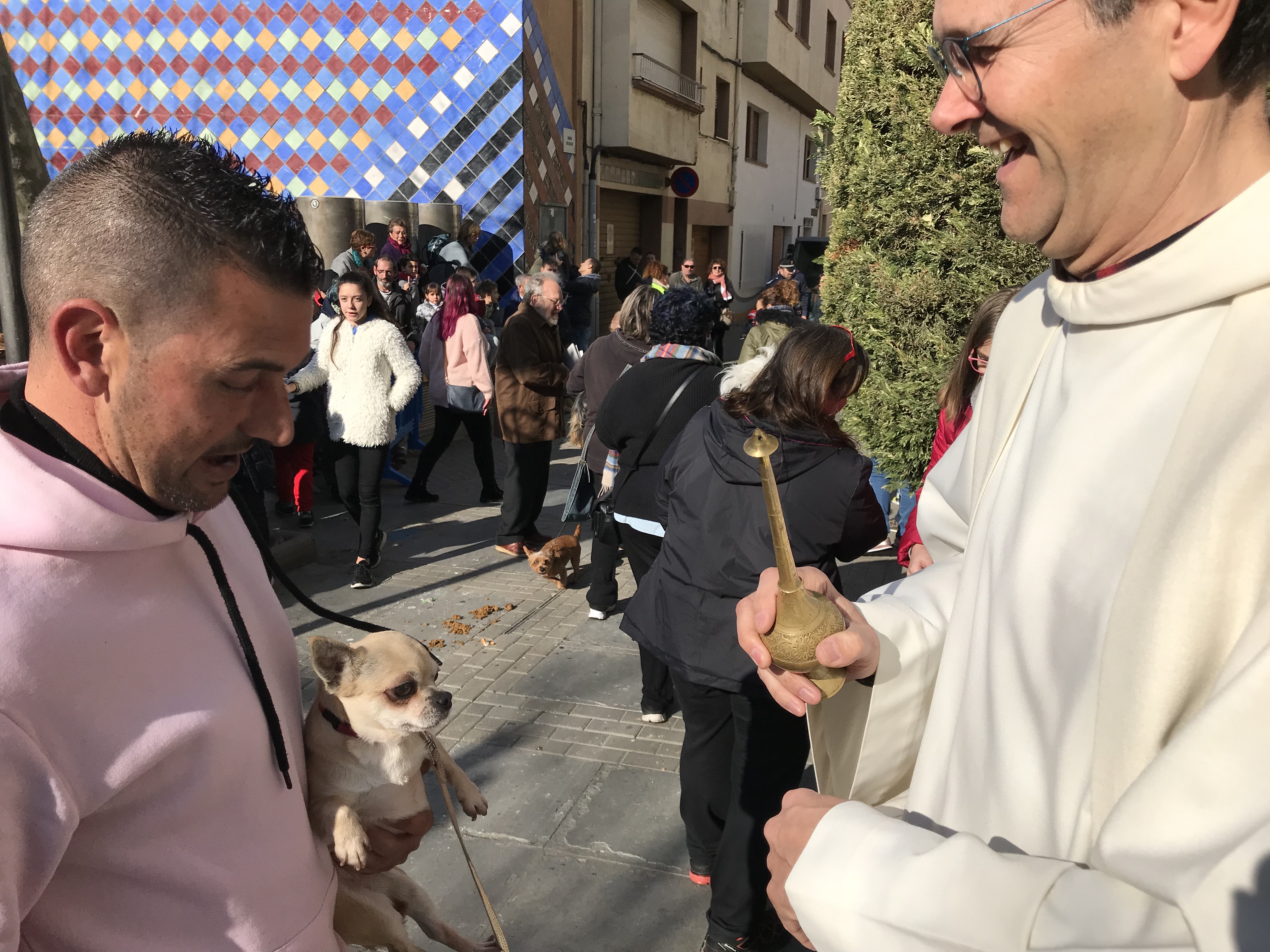 Festa de Sant Antoni Abad