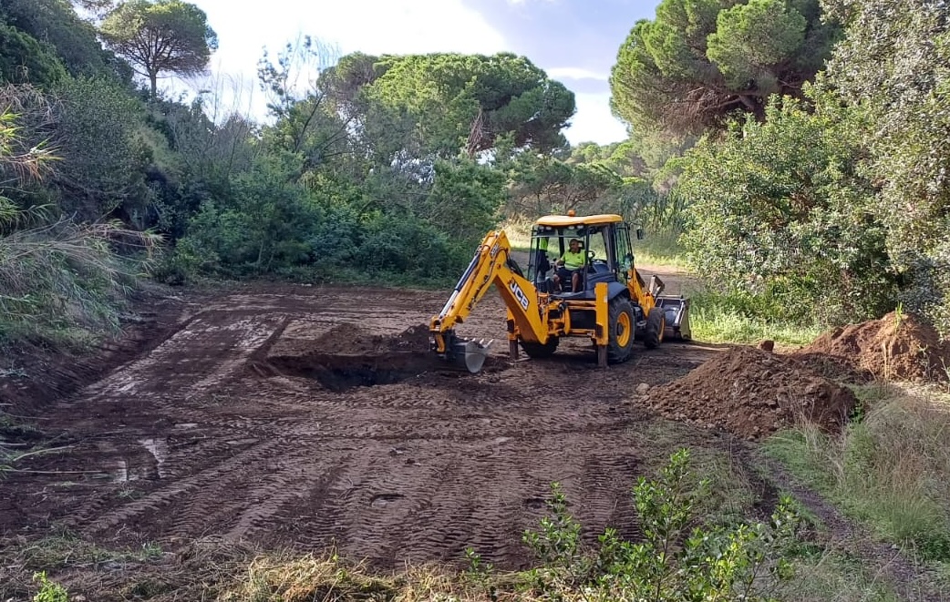 En marxa el projecte per millorar l'hàbitat dels ratpenats de les Mines de Can Palomeres