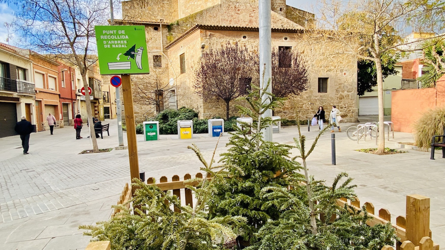 Servei de recollida d'arbres de Nadal, a partir del 7 de gener