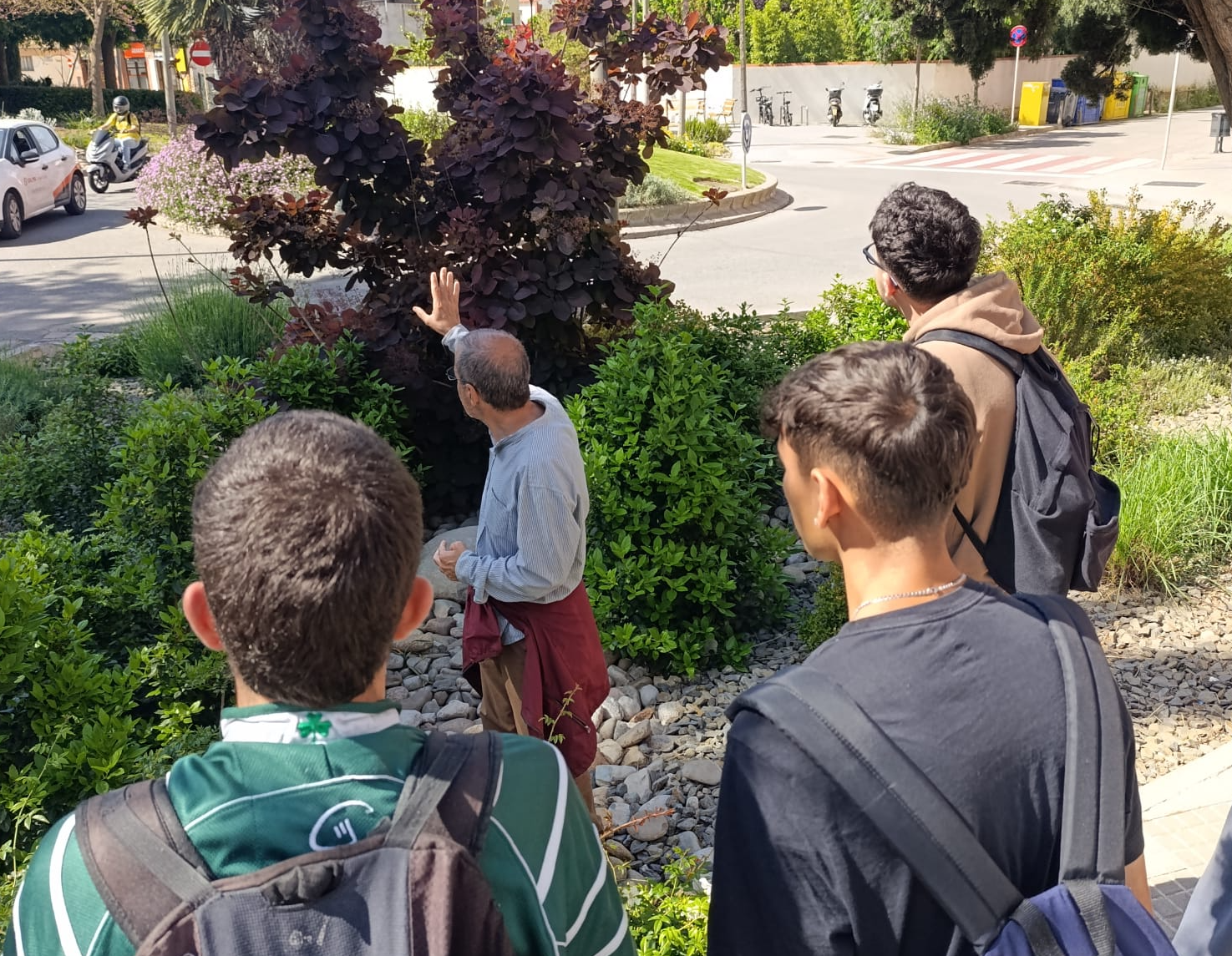 Centres especialitzats en jardineria de l'Empordà i Pla de l'Estany visiten els espais verds de Malgrat 